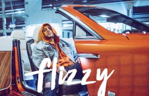 Fler – Flizzy (2018)